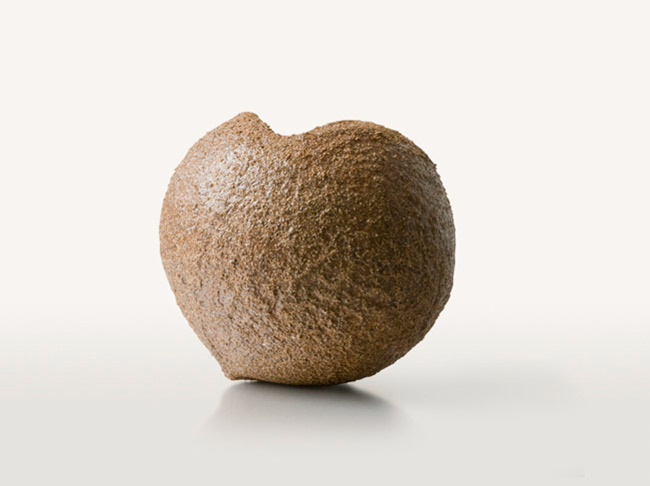 Coco Cork