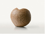 Coco Cork